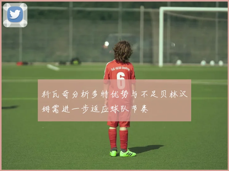 科瓦奇分析多特优势与不足贝林汉姆需进一步适应球队节奏