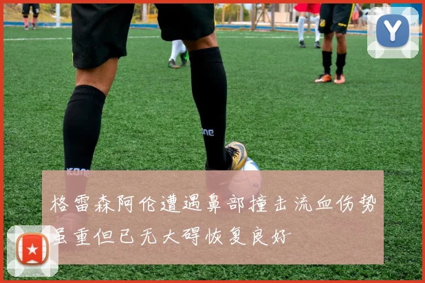 格雷森阿伦遭遇鼻部撞击流血伤势虽重但已无大碍恢复良好