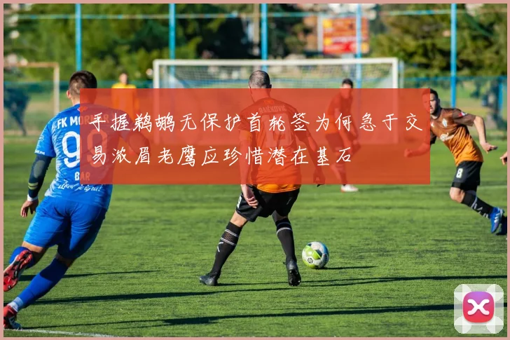 手握鹈鹕无保护首轮签为何急于交易浓眉老鹰应珍惜潜在基石