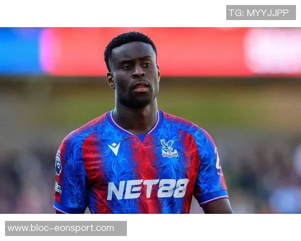 水晶宫冬窗计划引进博伊转会费预计达1300万英镑