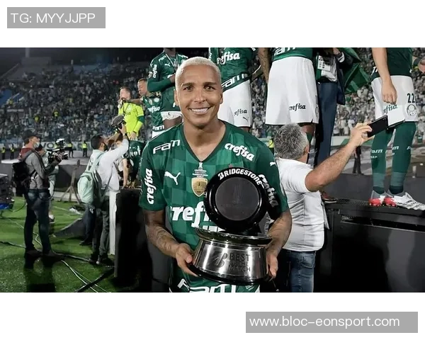 巴西足球盛事帕尔梅拉斯与弗拉门戈争夺南美解放者杯冠军